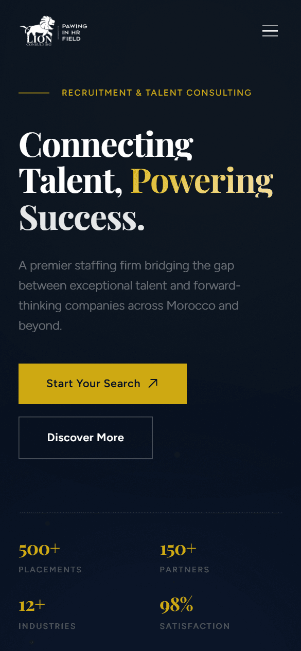 Lion Consulting — preview 1