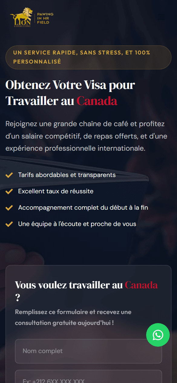 Lion Consulting Canada — preview 1