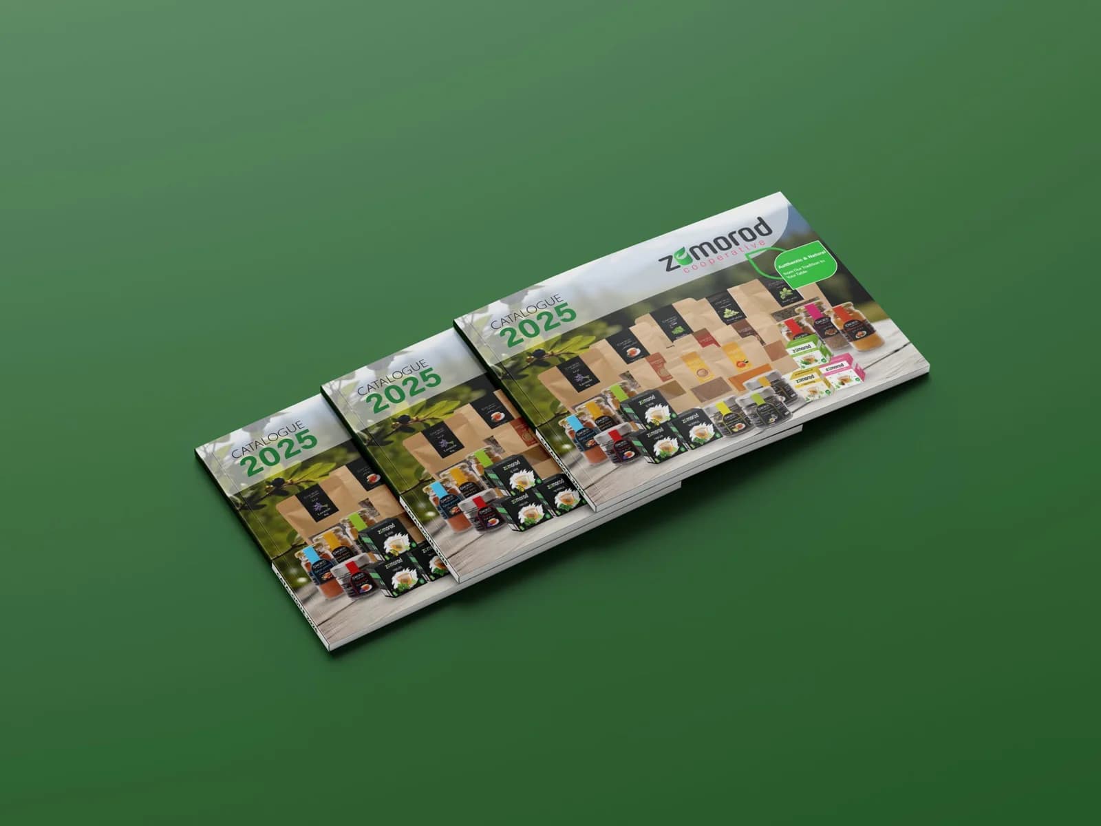 Coopérative Zomorod — aperçu 2
